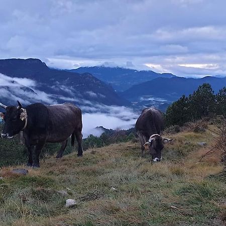 Precioso Apartamento En El Pirineo Catalan Ла Побла де Лилет Екстериор снимка
