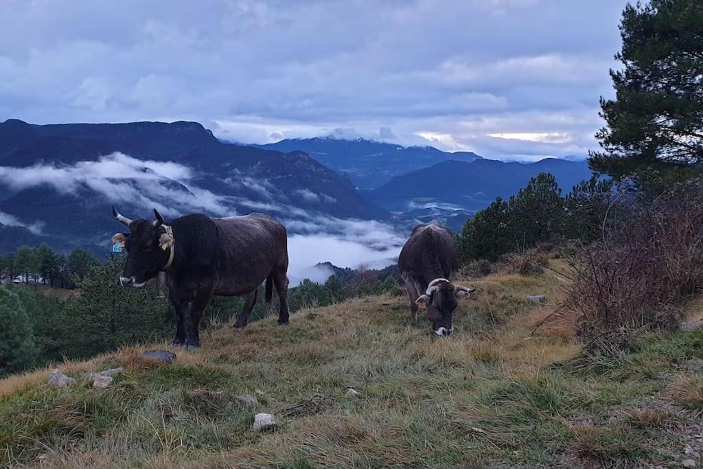 Precioso Apartamento En El Pirineo Catalan Ла Побла де Лилет Екстериор снимка